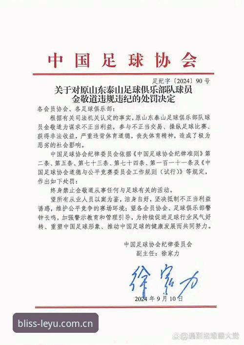 资深体育行业分析师深度解读：足协第三批禁足名单背后的行业整顿与乐鱼平台观赛体验